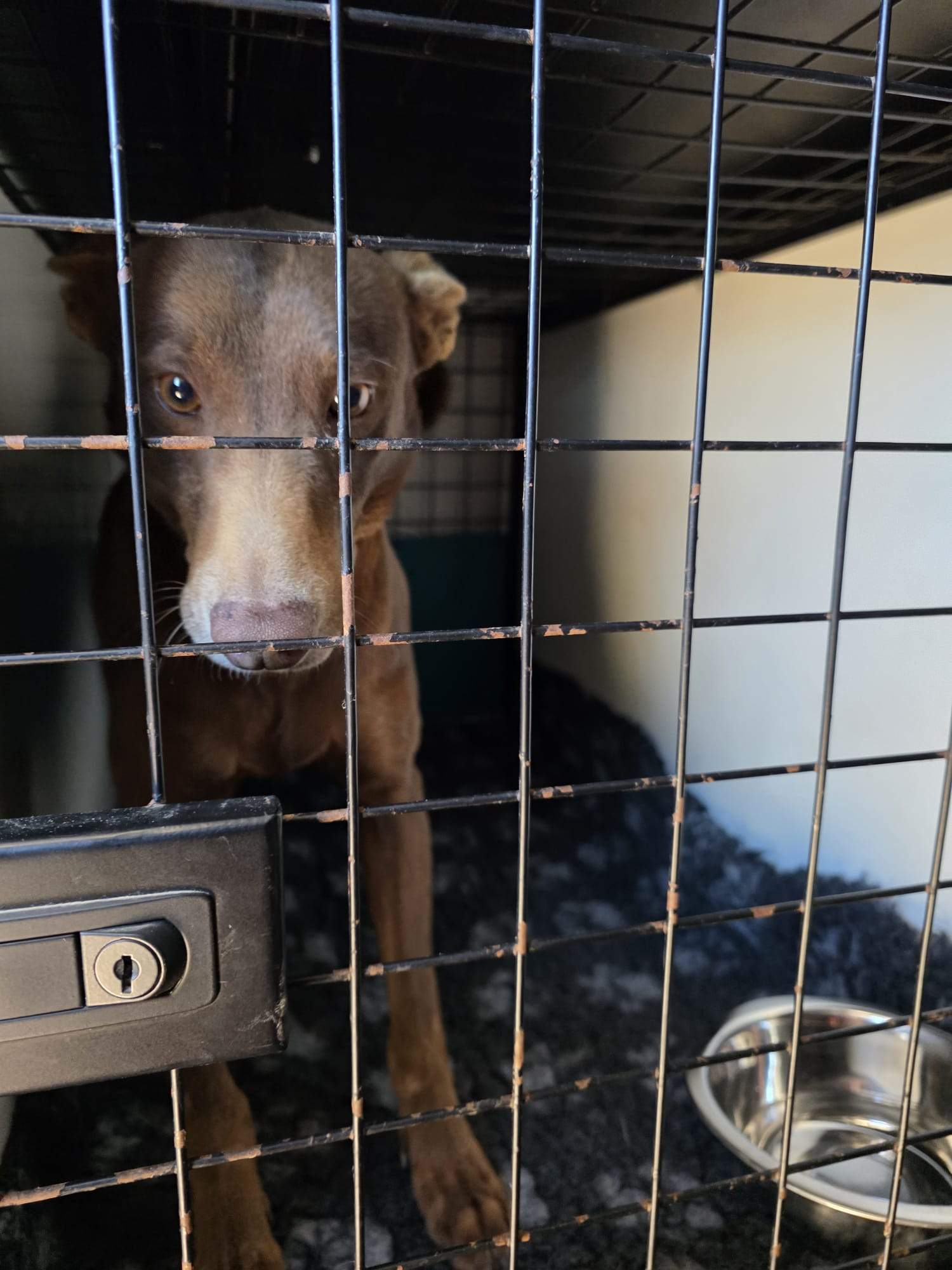 casper_1221503953523224