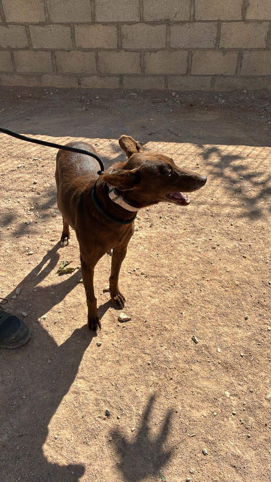 casper_1221503973523222