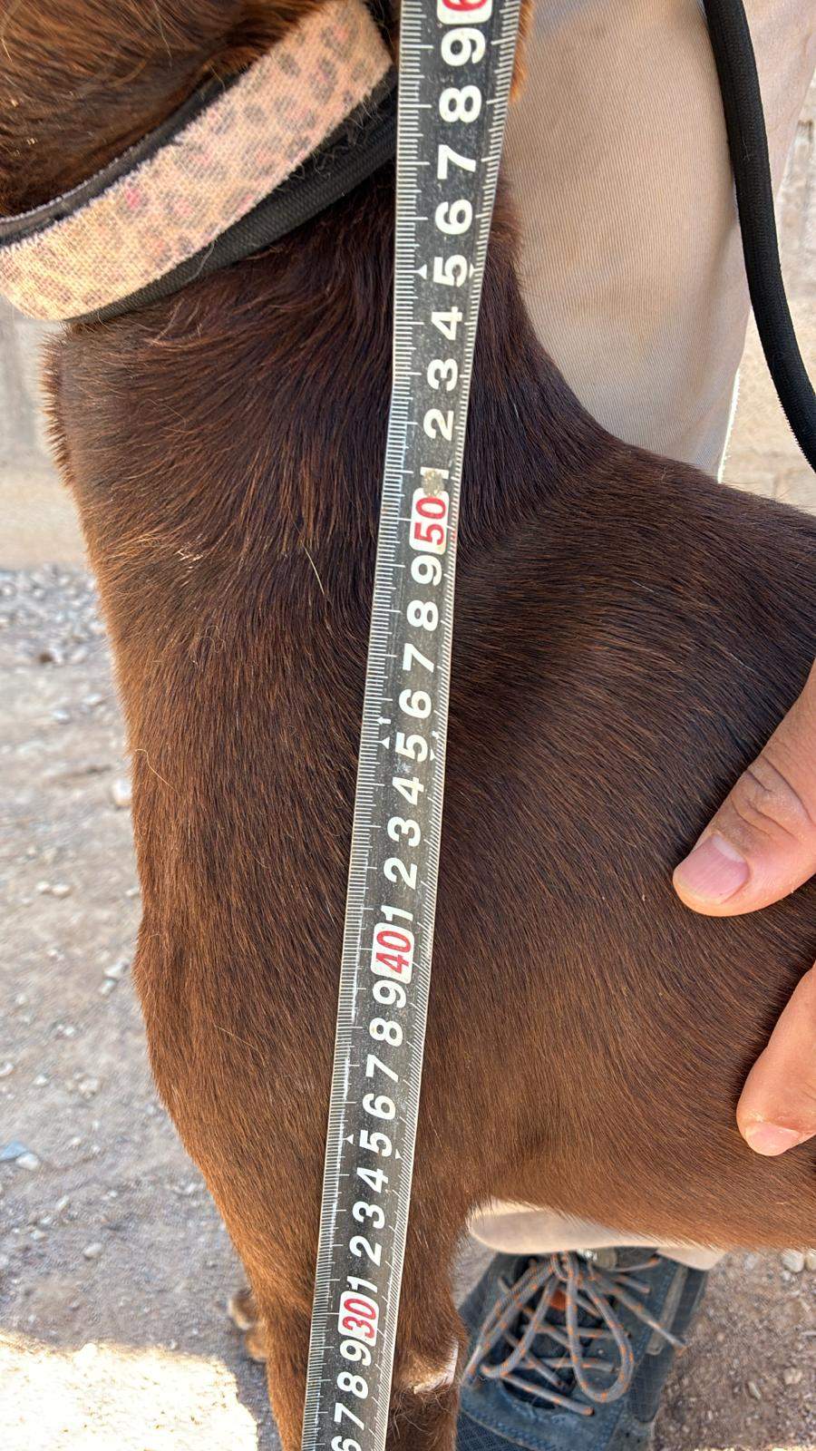 casper_1221503980189888