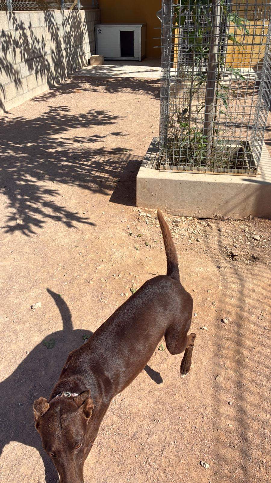 casper_1221504066856546