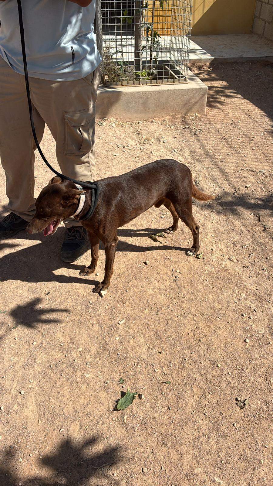 casper_1221504093523210