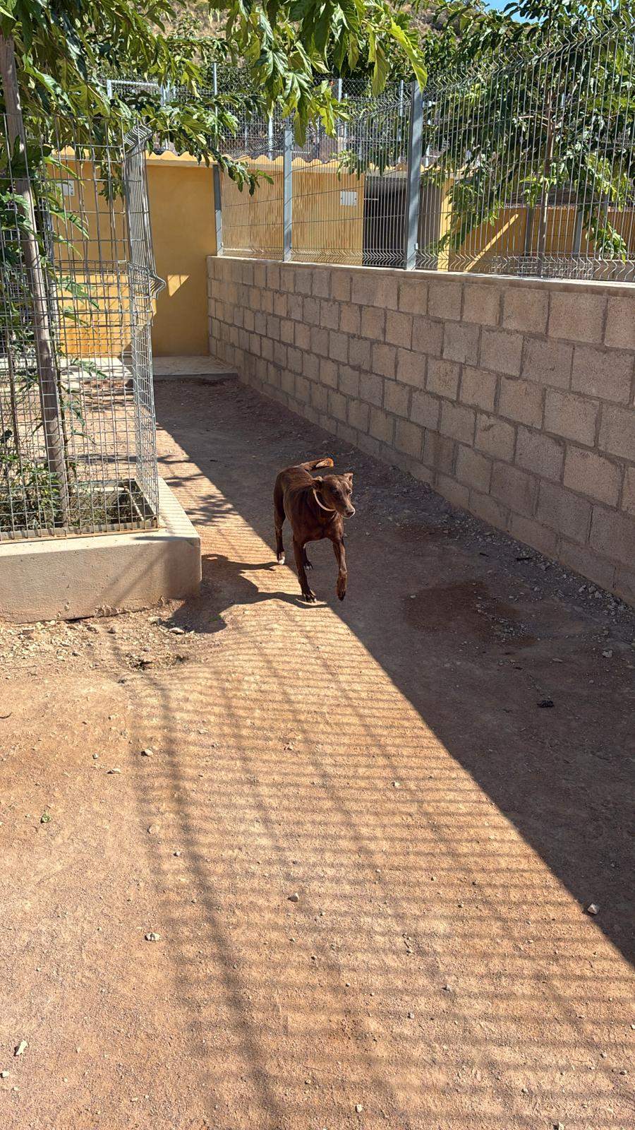 casper_1221504183523201