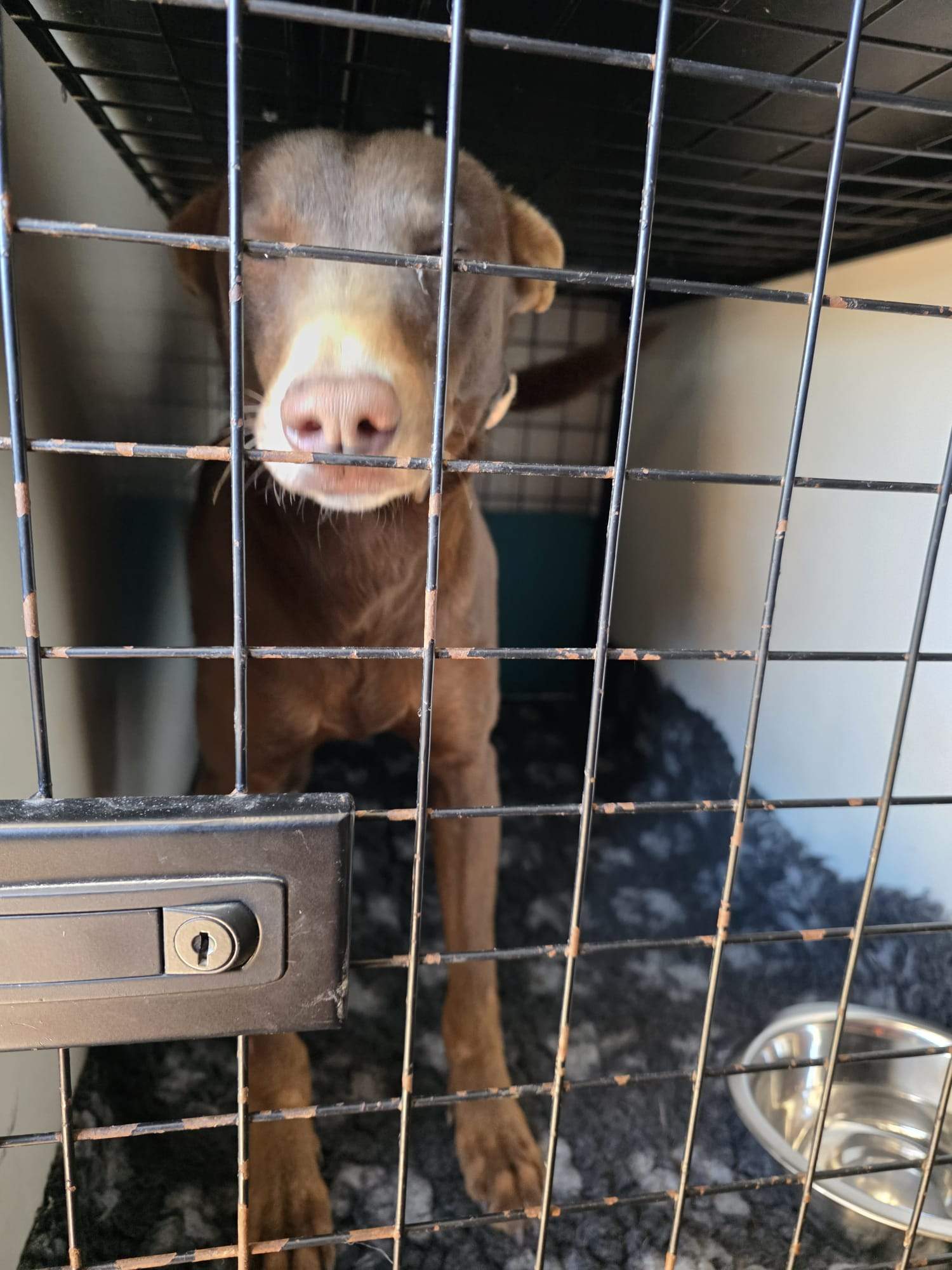 casper_1221504203523199