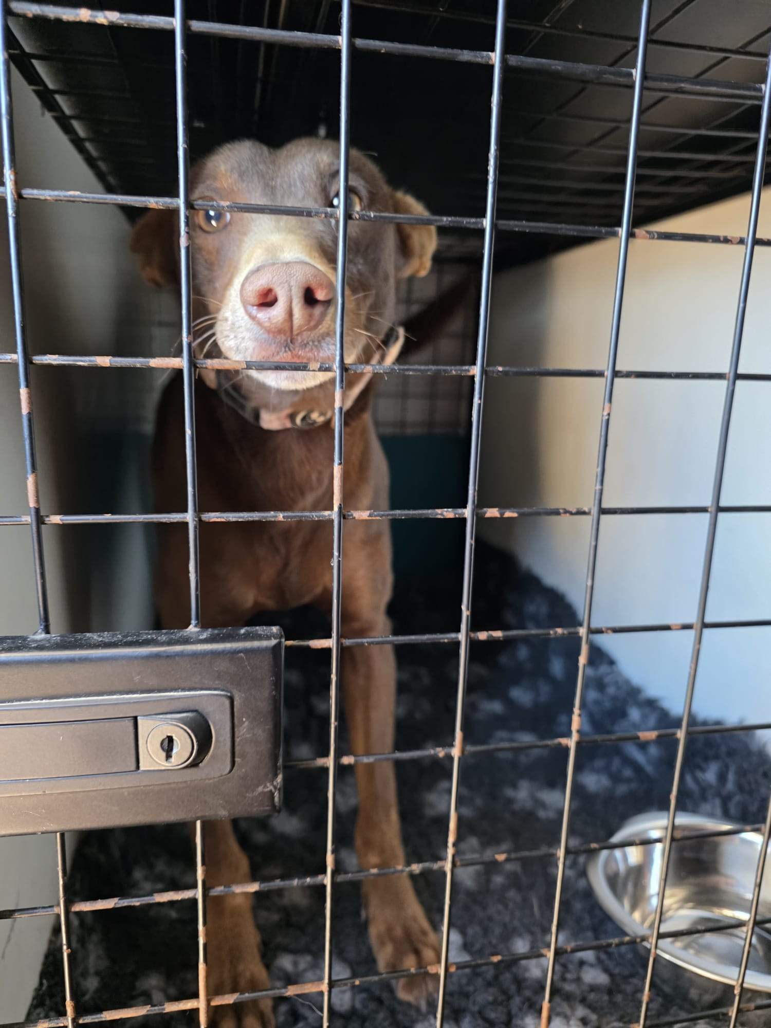 casper_1221504246856528