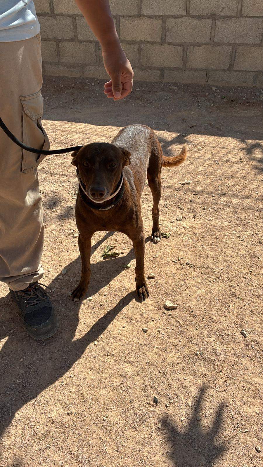 casper_1221504296856523