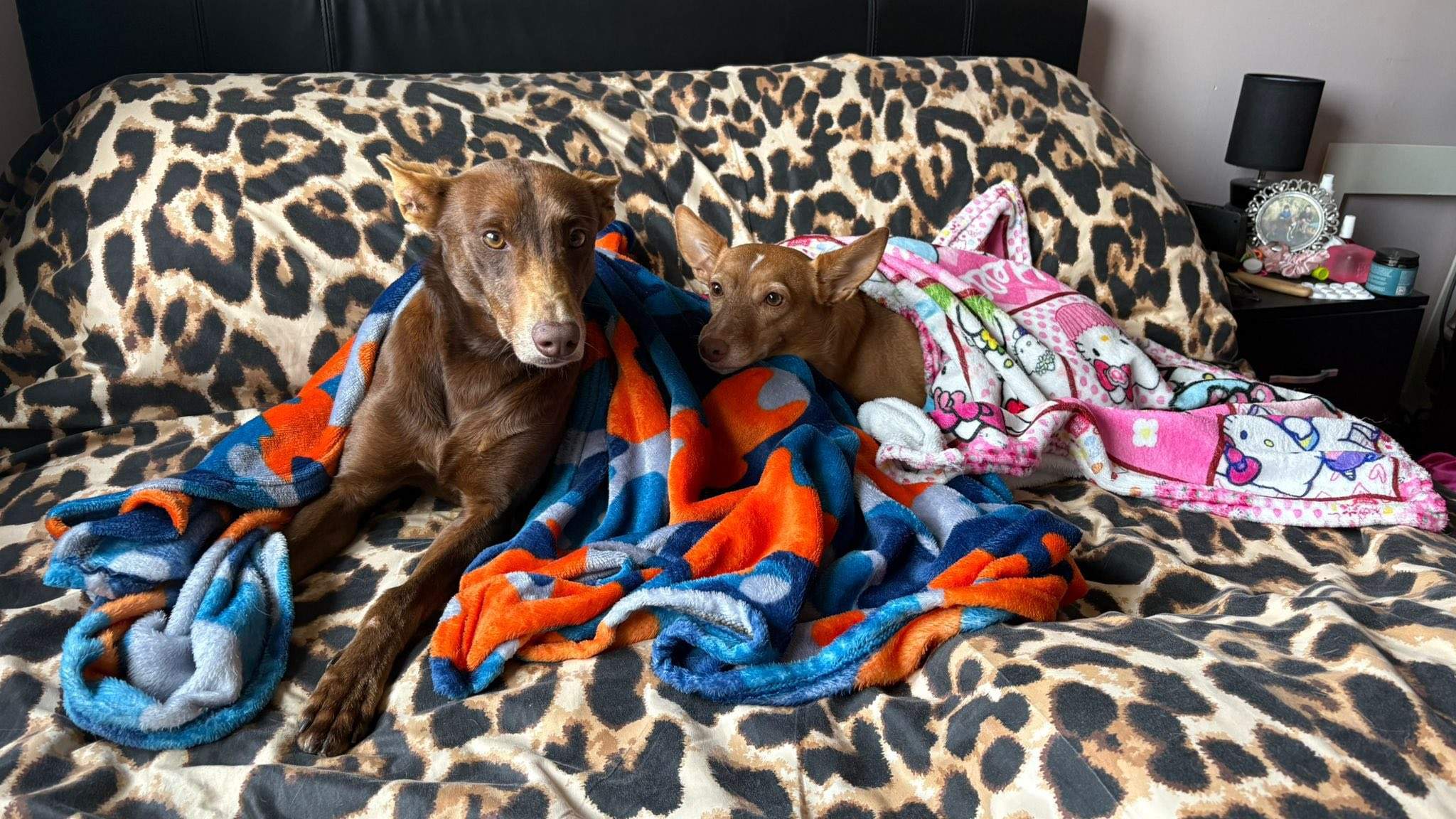 casper_1225613016445651