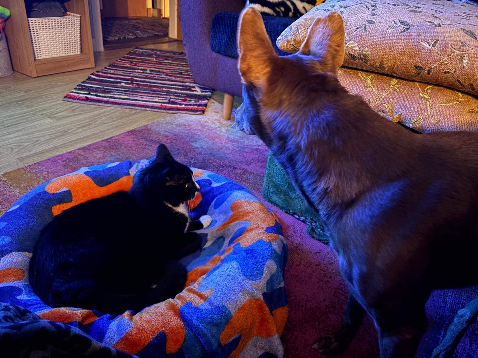 casper_1225613026445650