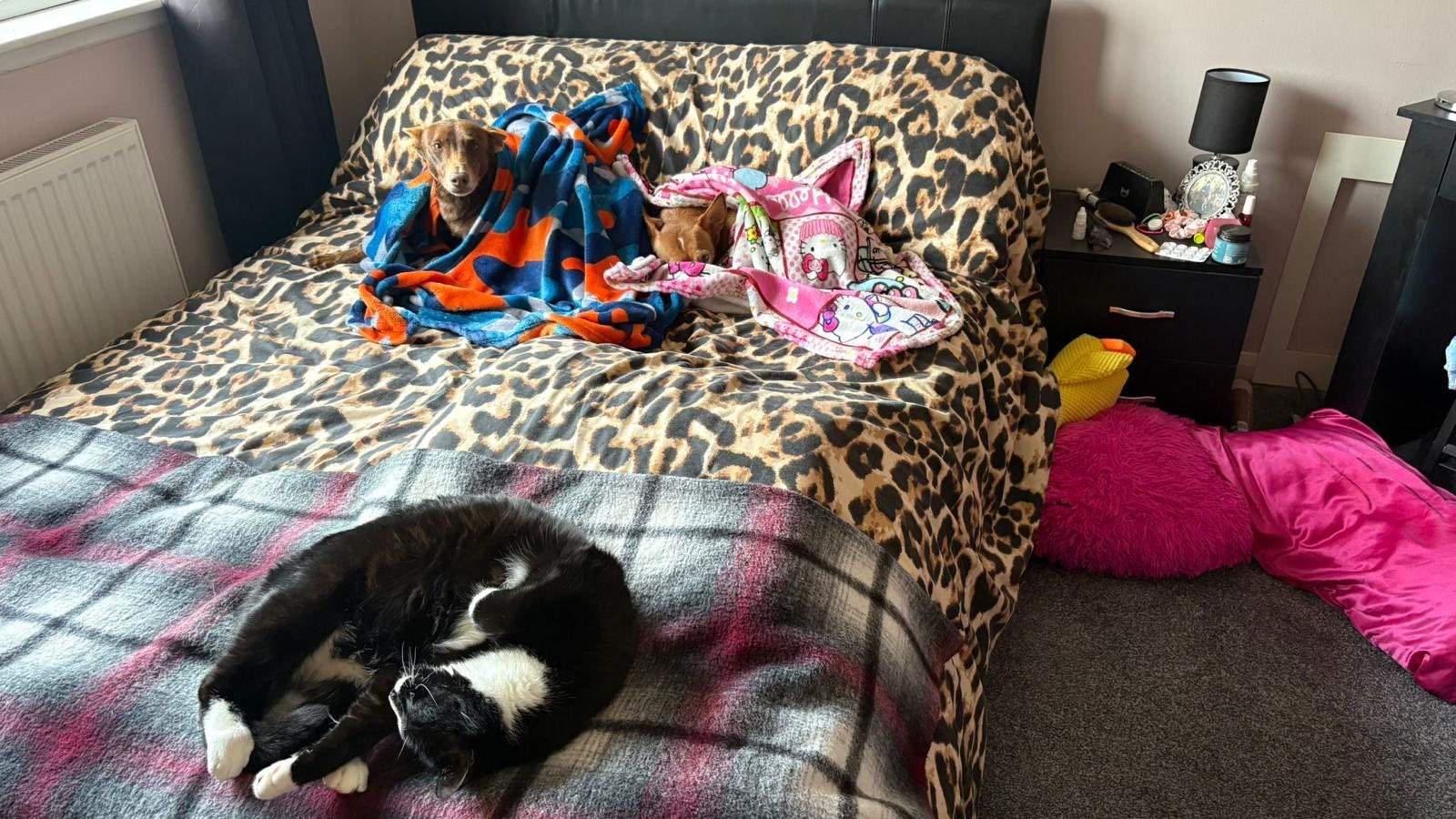 casper_1225613093112310