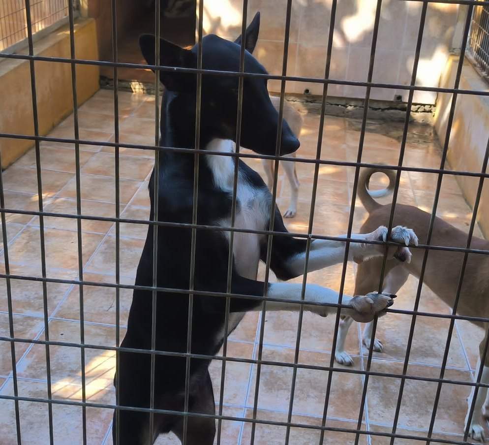 casper_1415452504128367