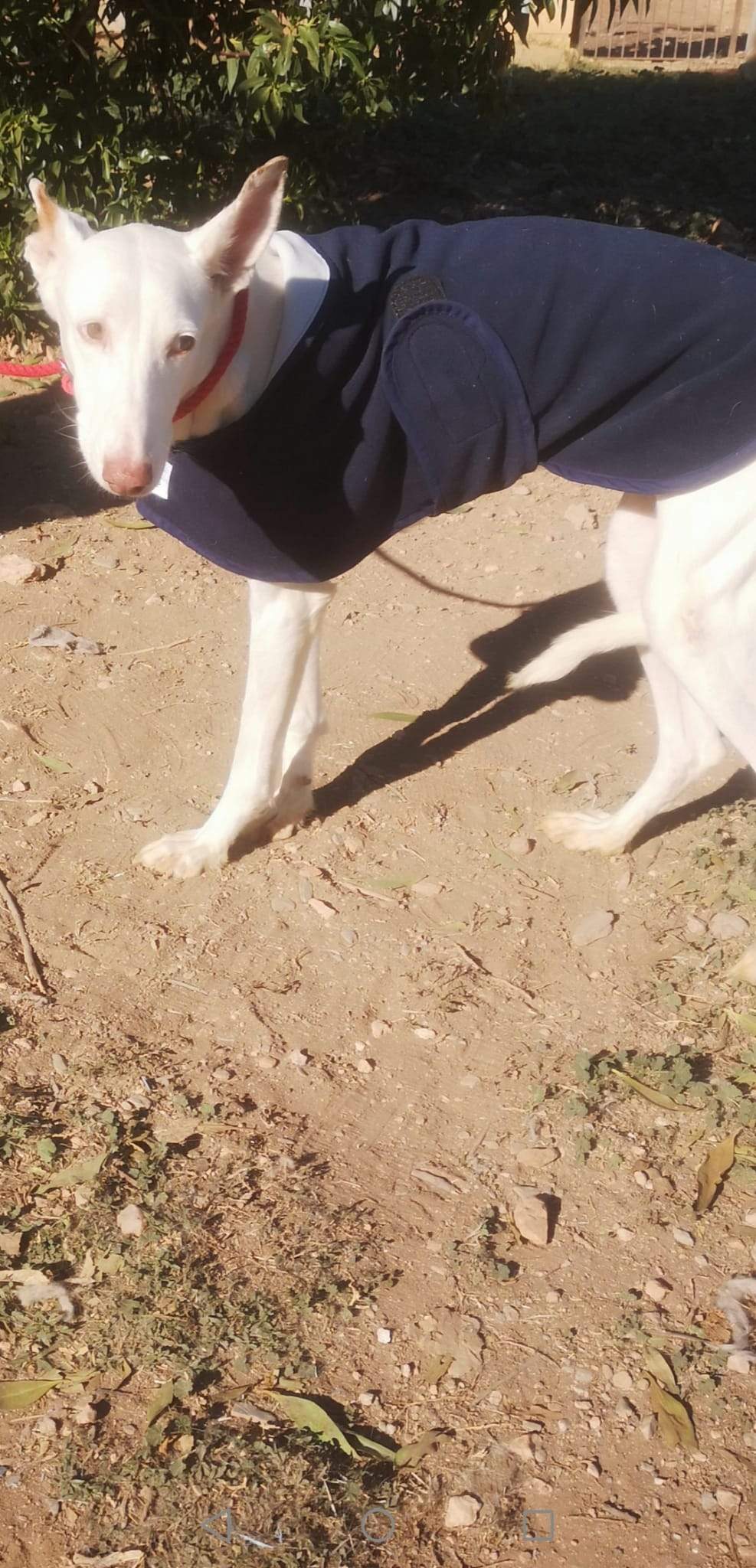 curra_1163136379359982