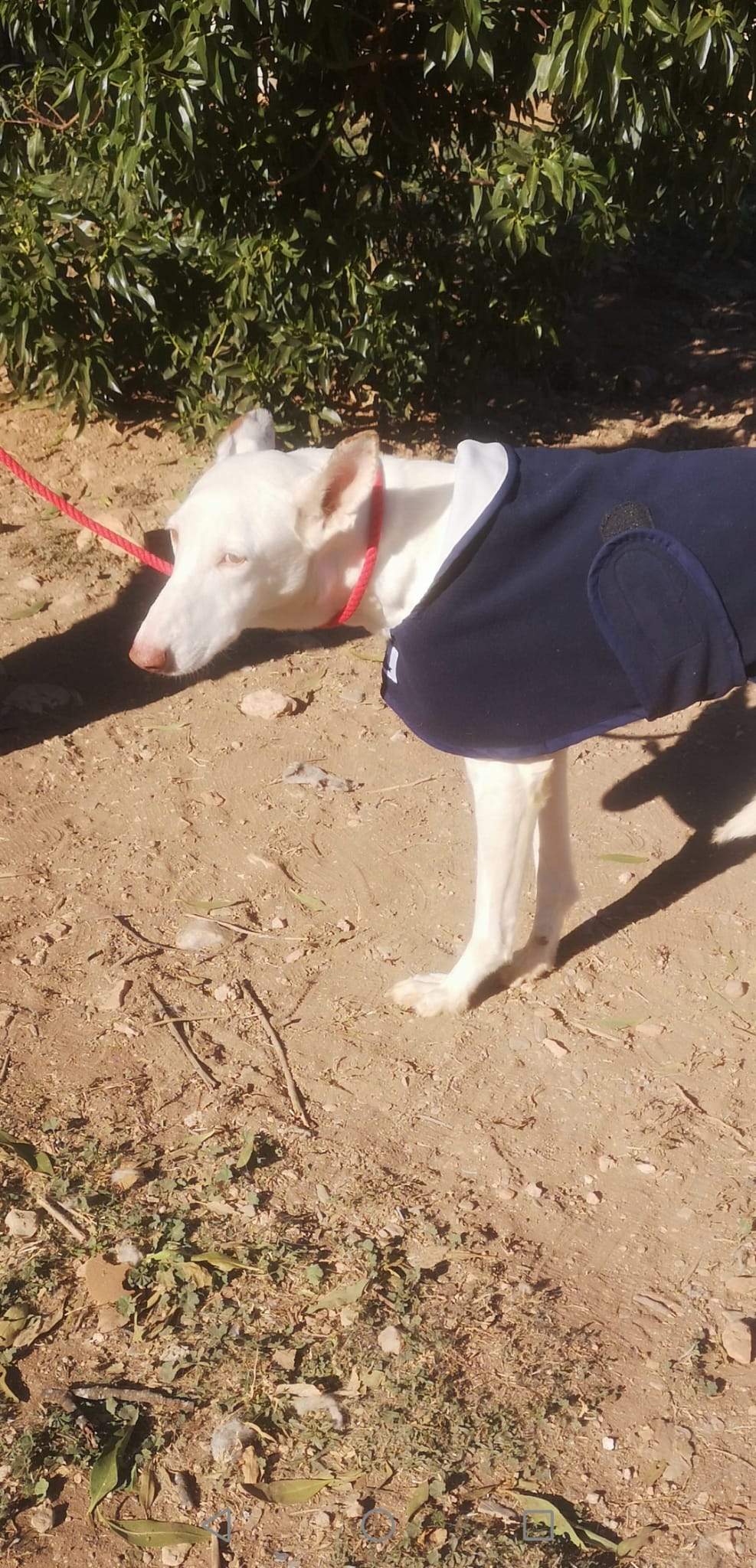 curra_1163136402693313