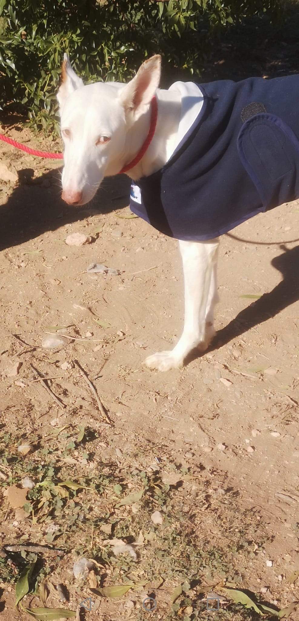 curra_1163136459359974