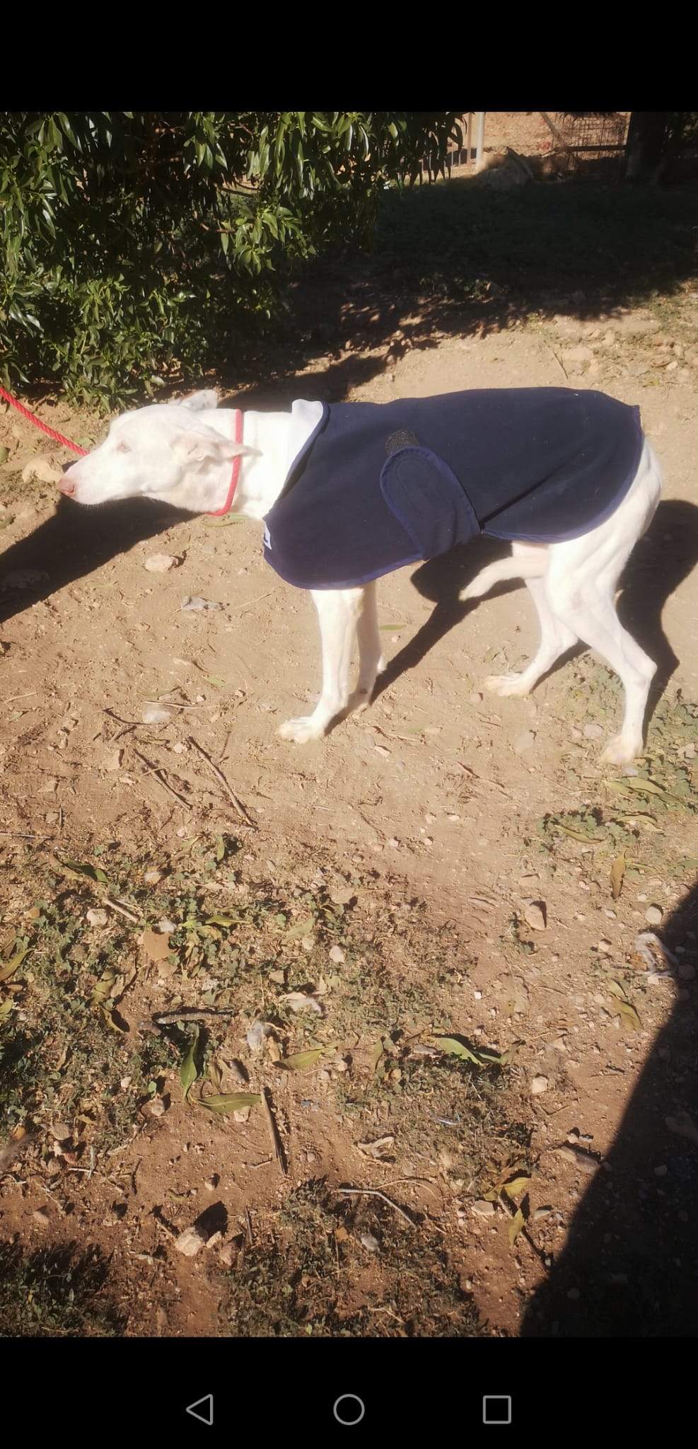 curra_1163136586026628