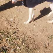 curra_1163136596026627