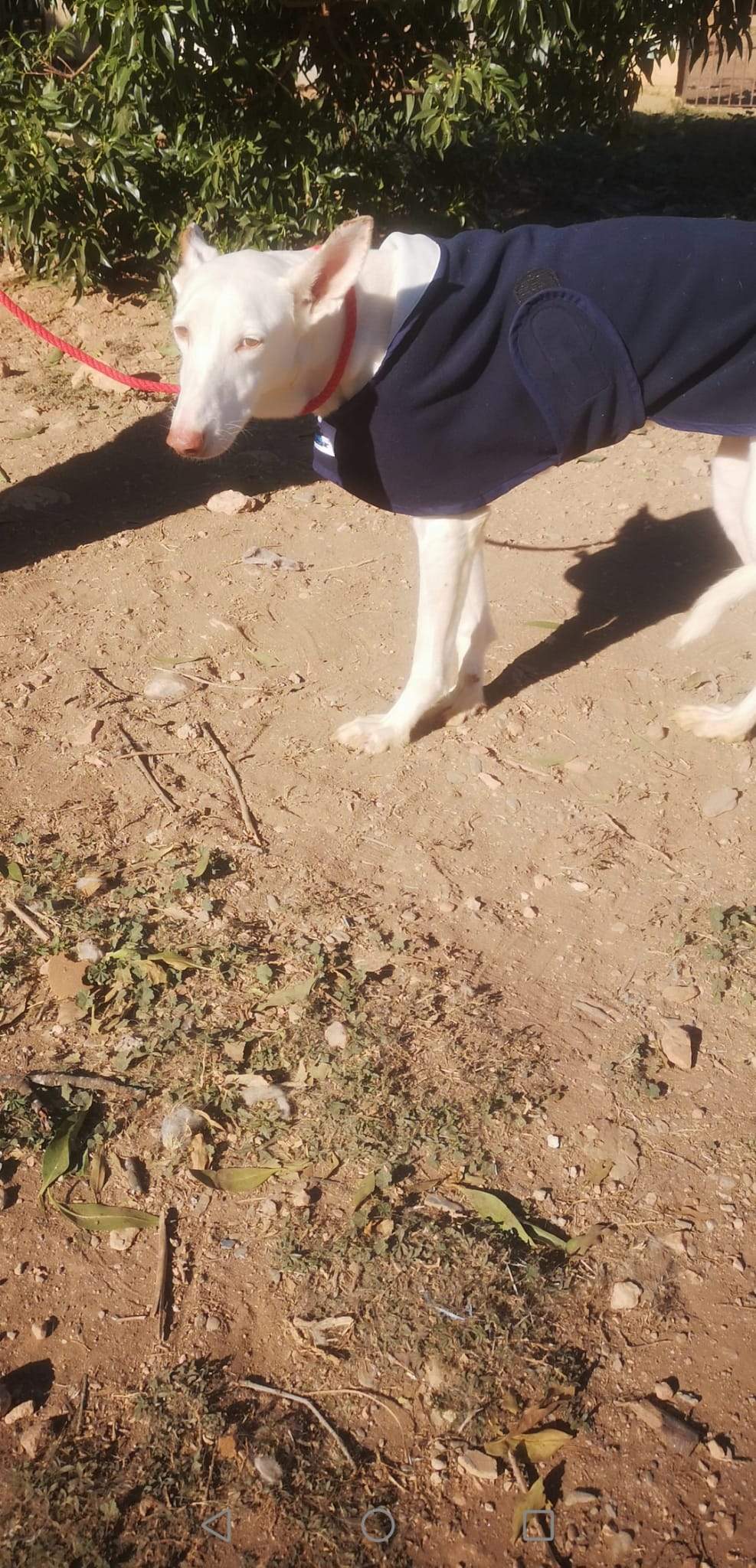 curra_1163136596026627