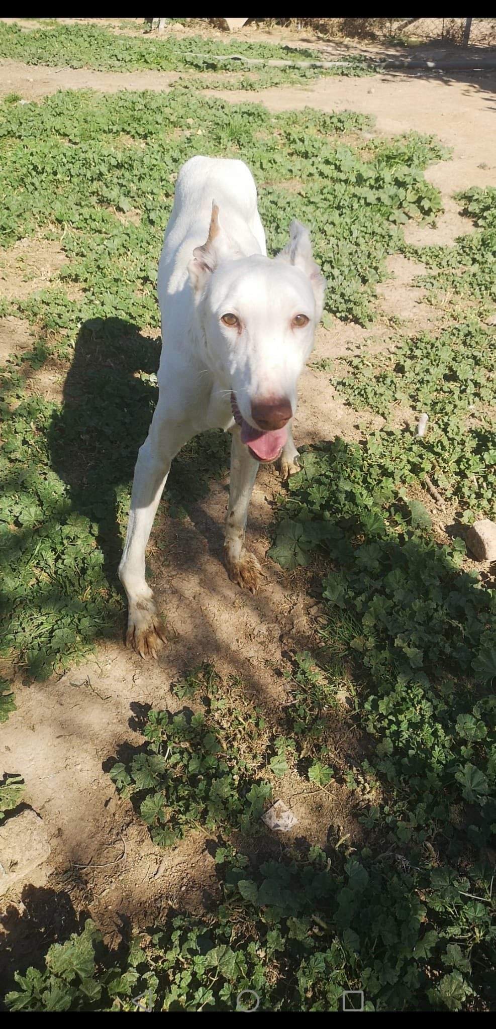 curra_1229301069410179