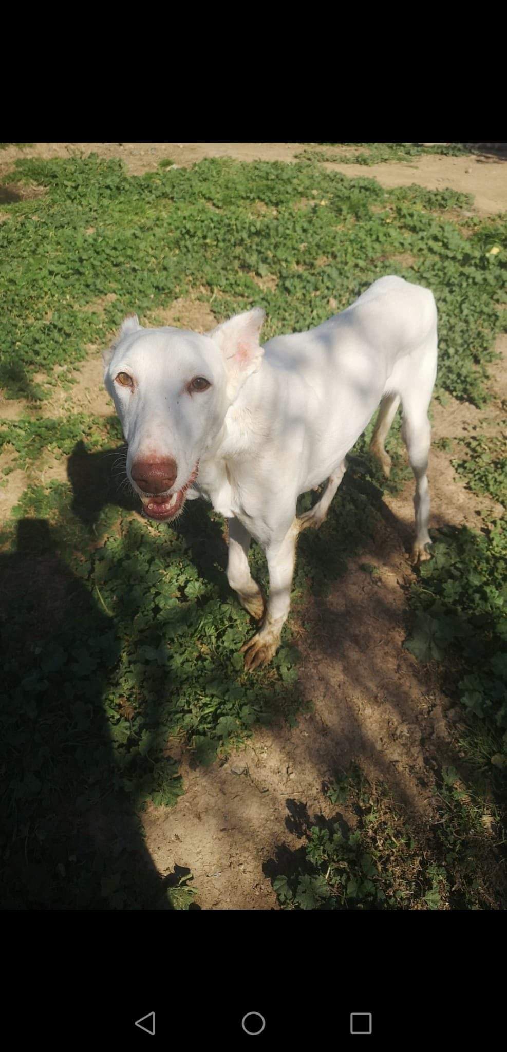 curra_1229301076076845