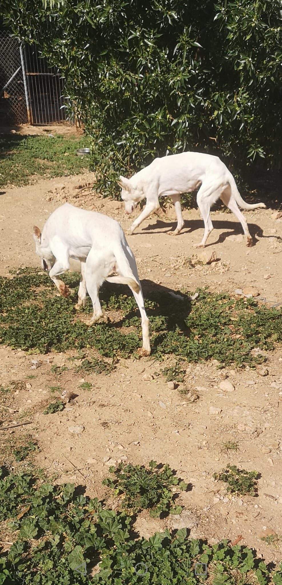 curra_1229301129410173