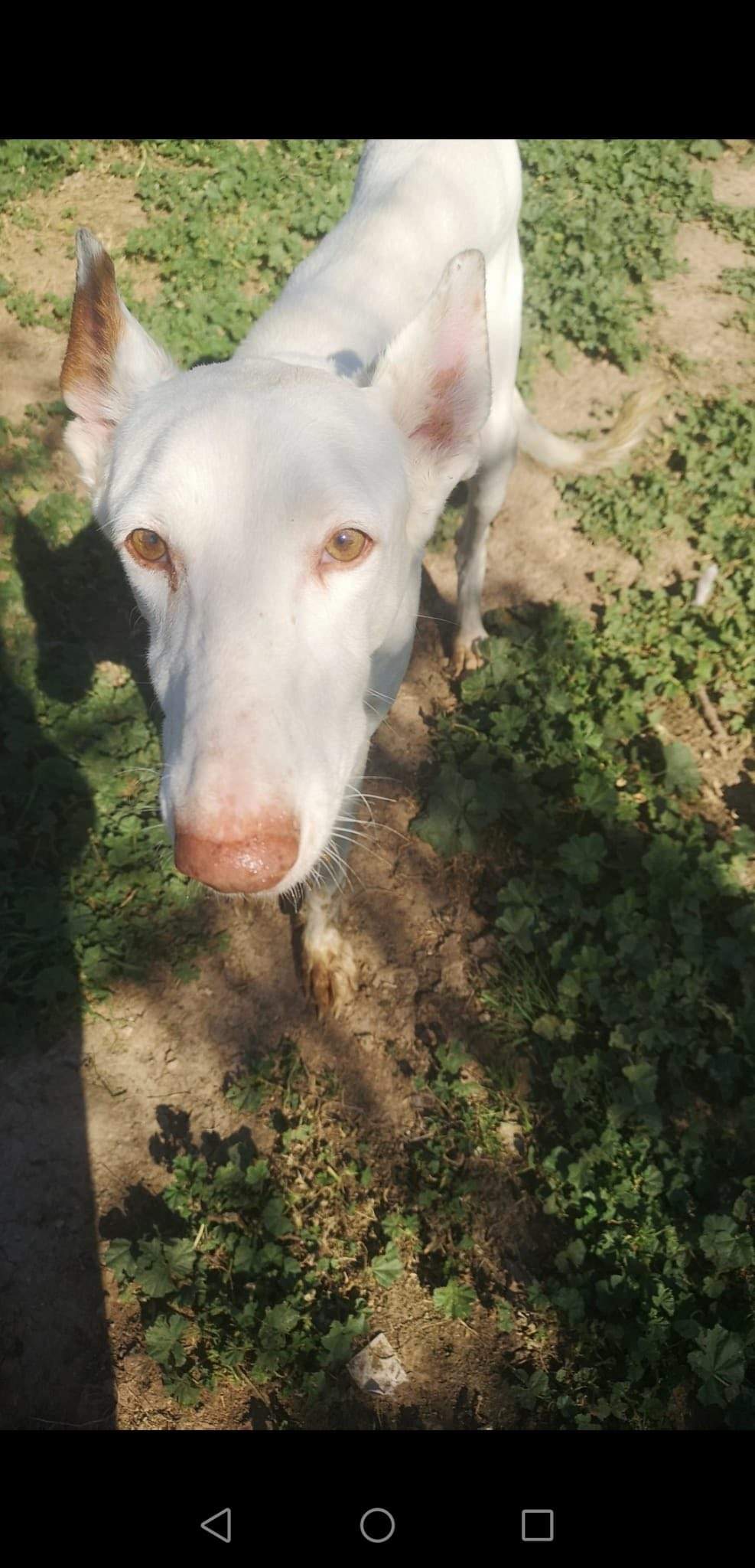 curra_1229301146076838