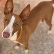 denis_1271436878529931