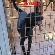 donna_1416219874051630