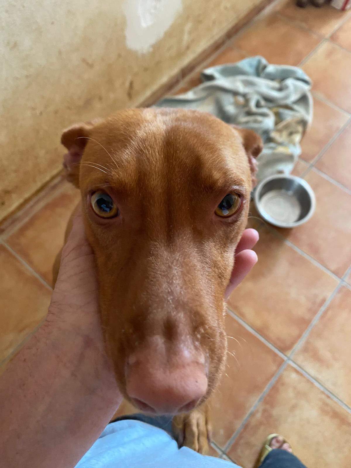 duke_1283307497342869