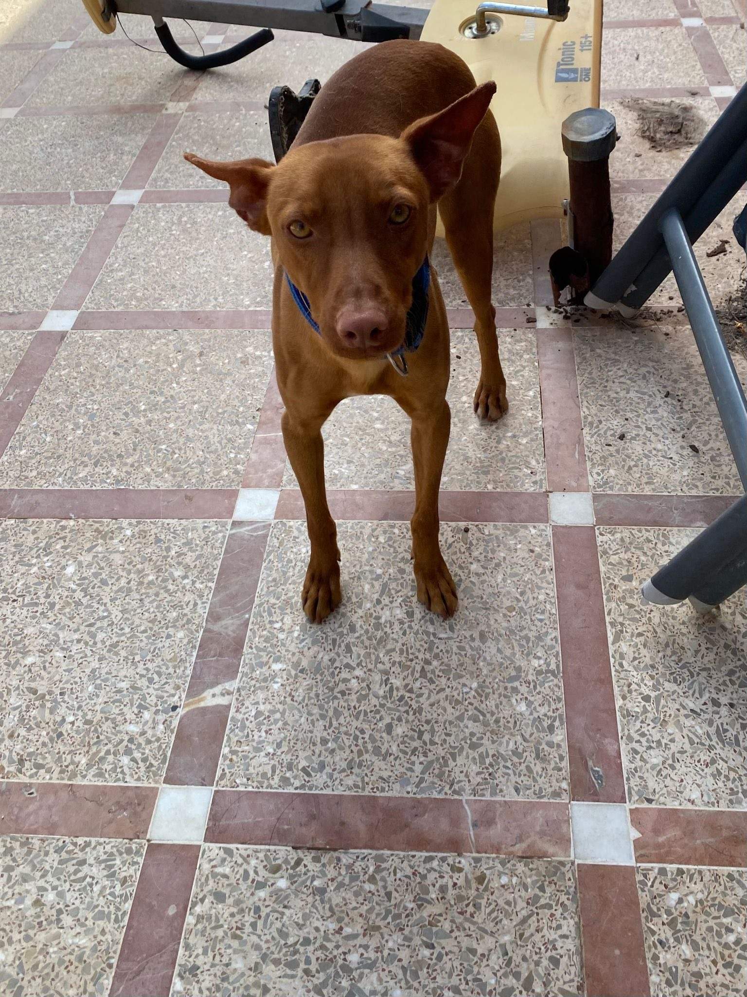 duke_1283307554009530