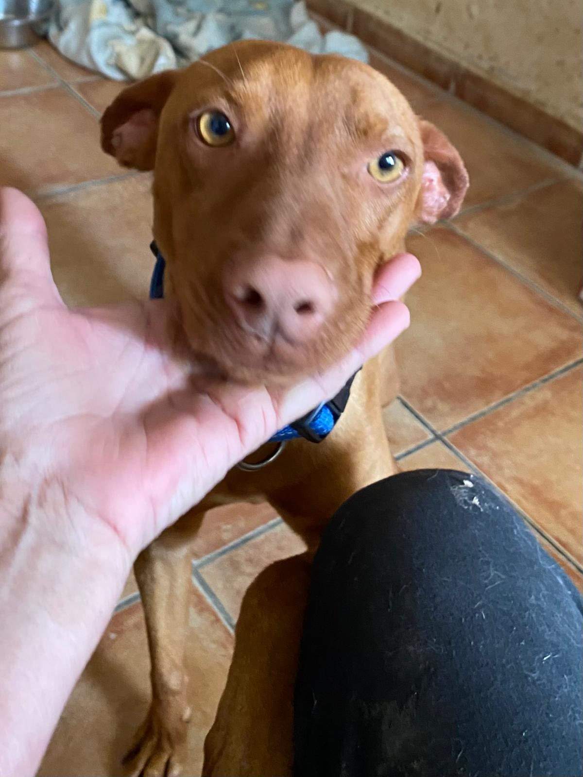 duke_1283307620676190