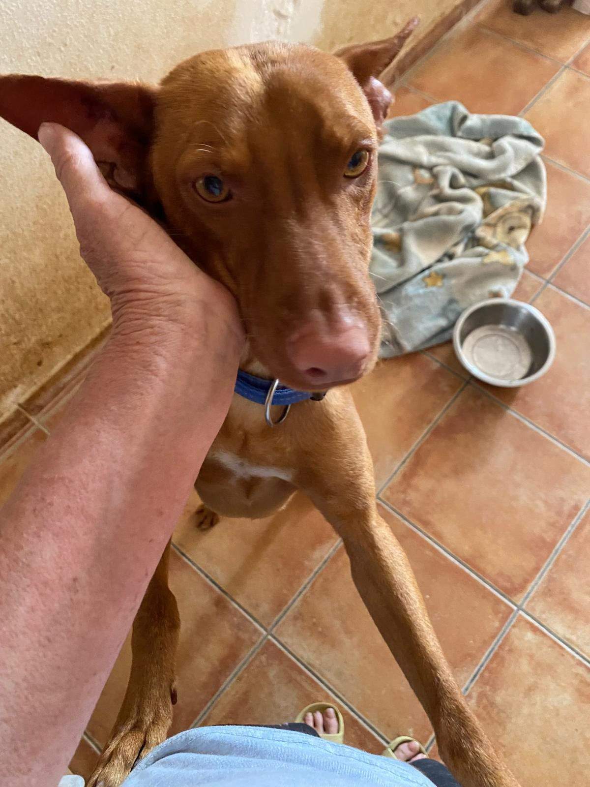 duke_1283307684009517