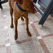 duke_1285069247166694