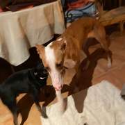 dulce_1197246979282255