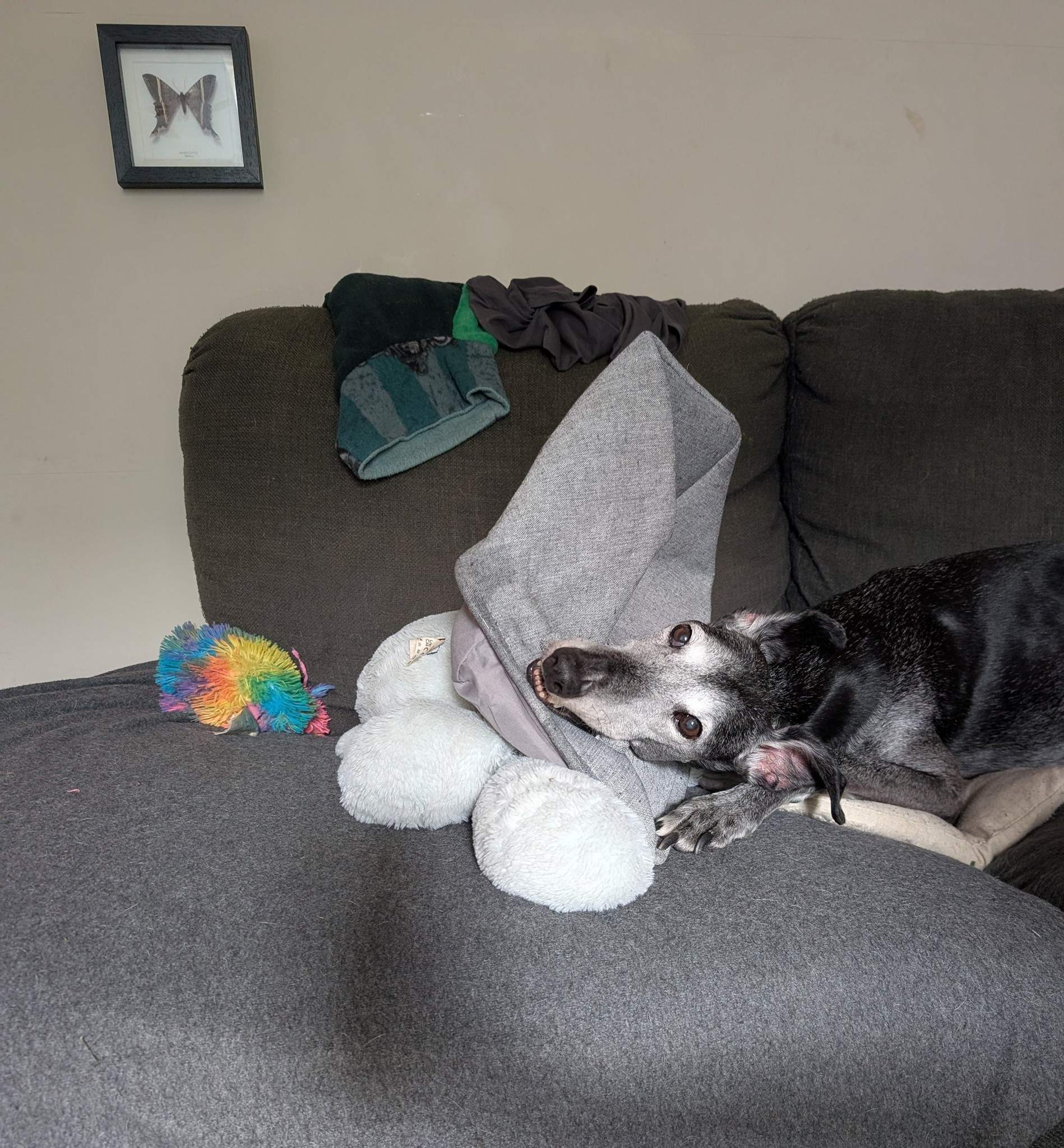 ebano_1163831952623758