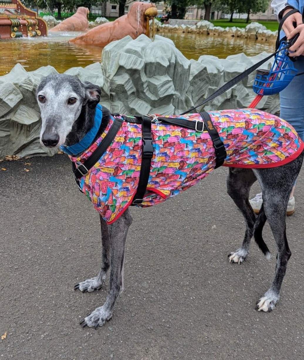 ebano_1165070662499887