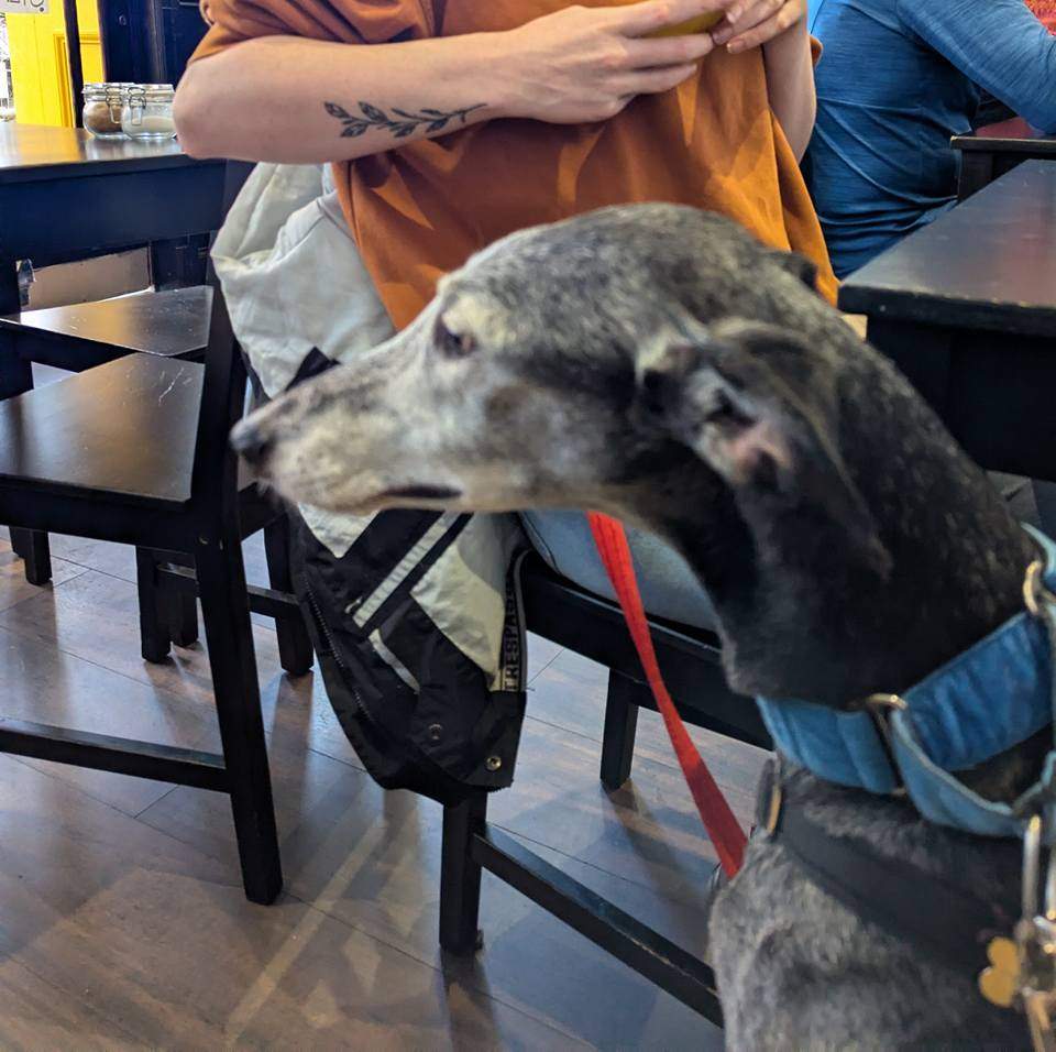 ebano_1174525611554392