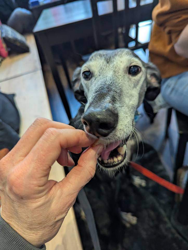 ebano_1174525731554380