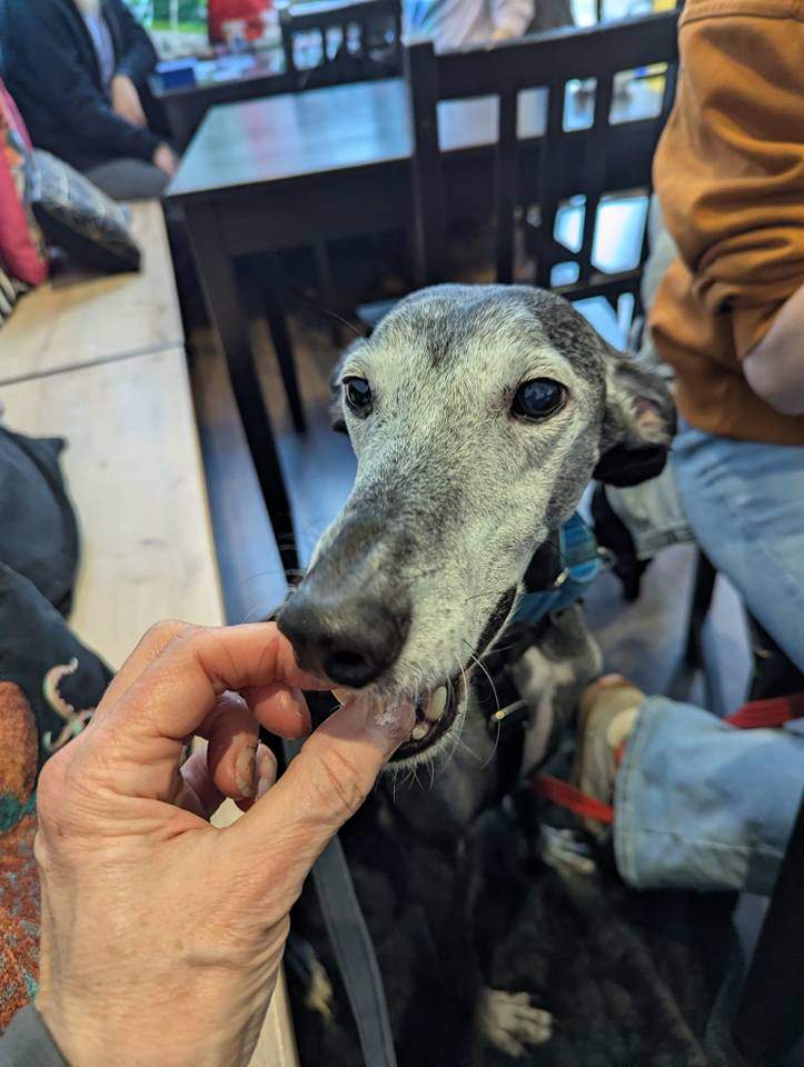 ebano_1174525828221037