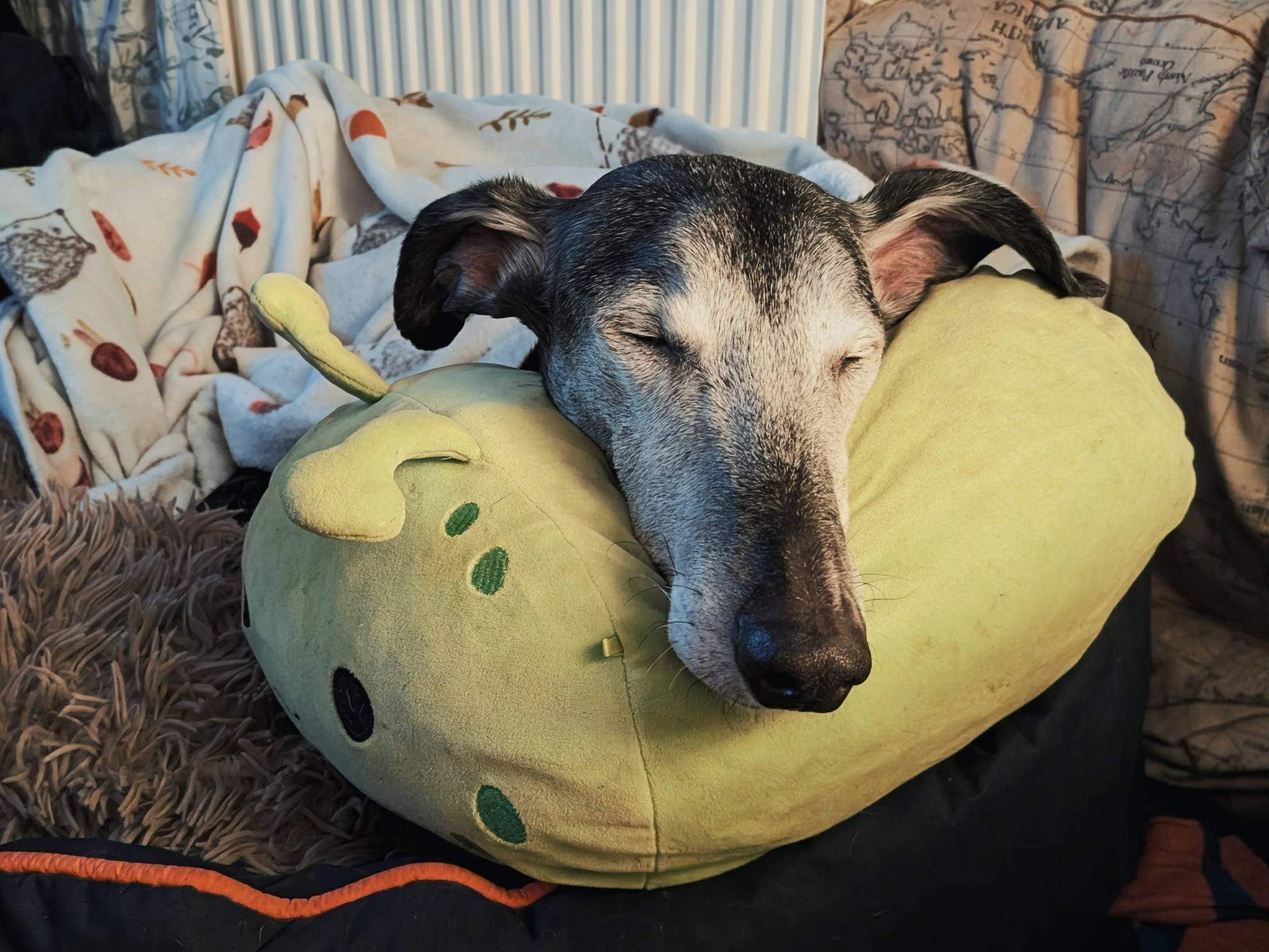 ebano_1180281064312180