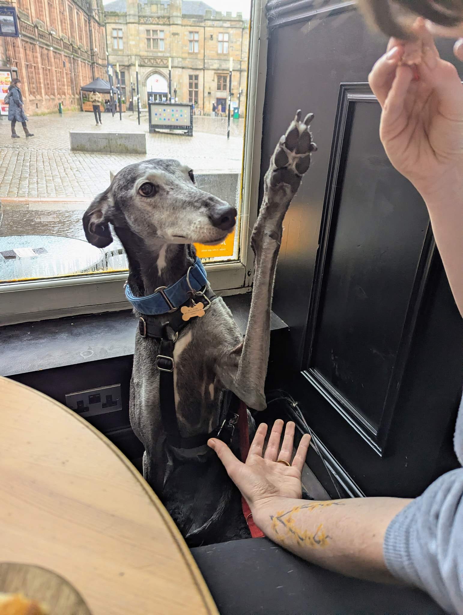 ebano_1200402945633325