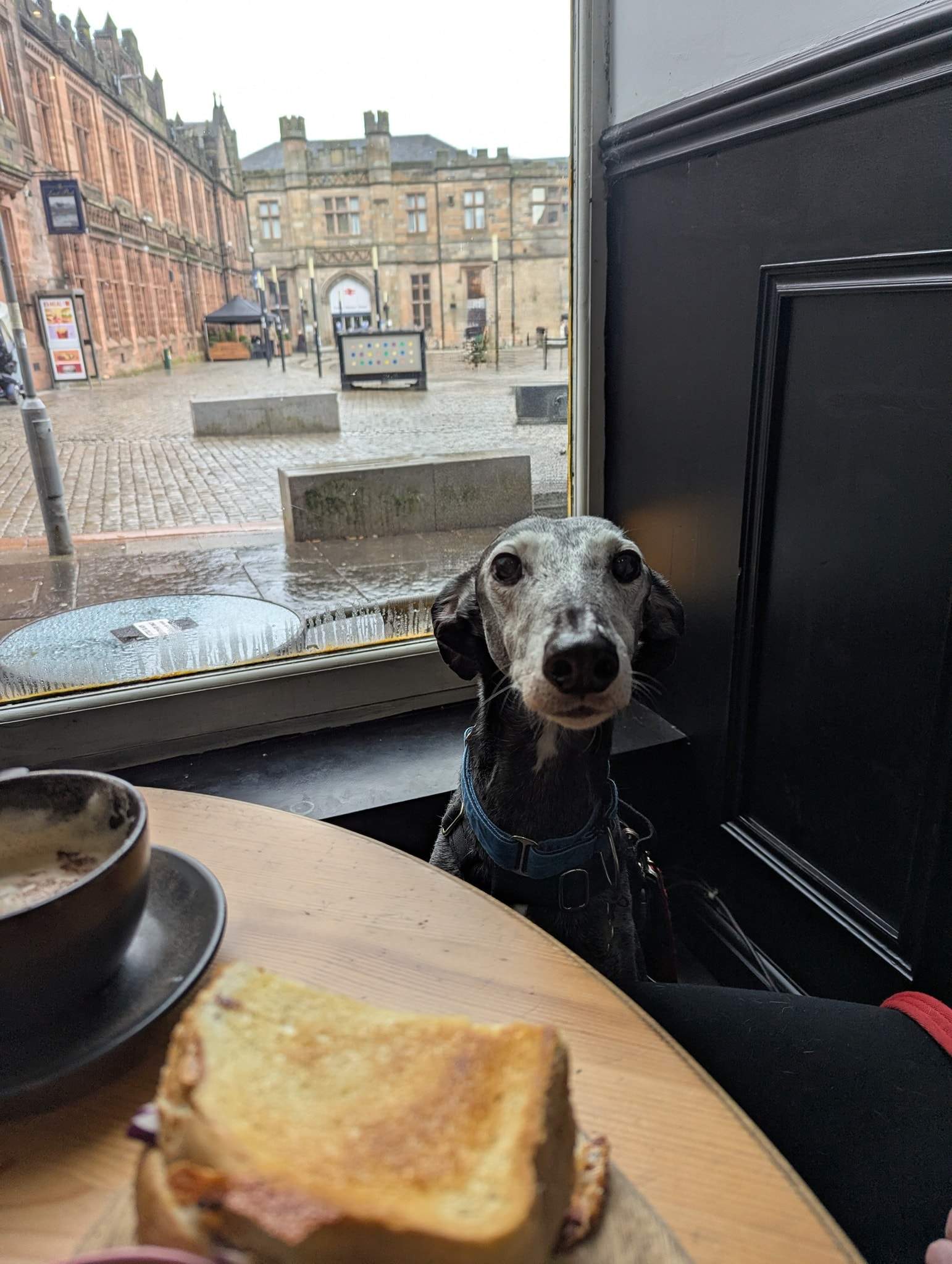 ebano_1200402982299988