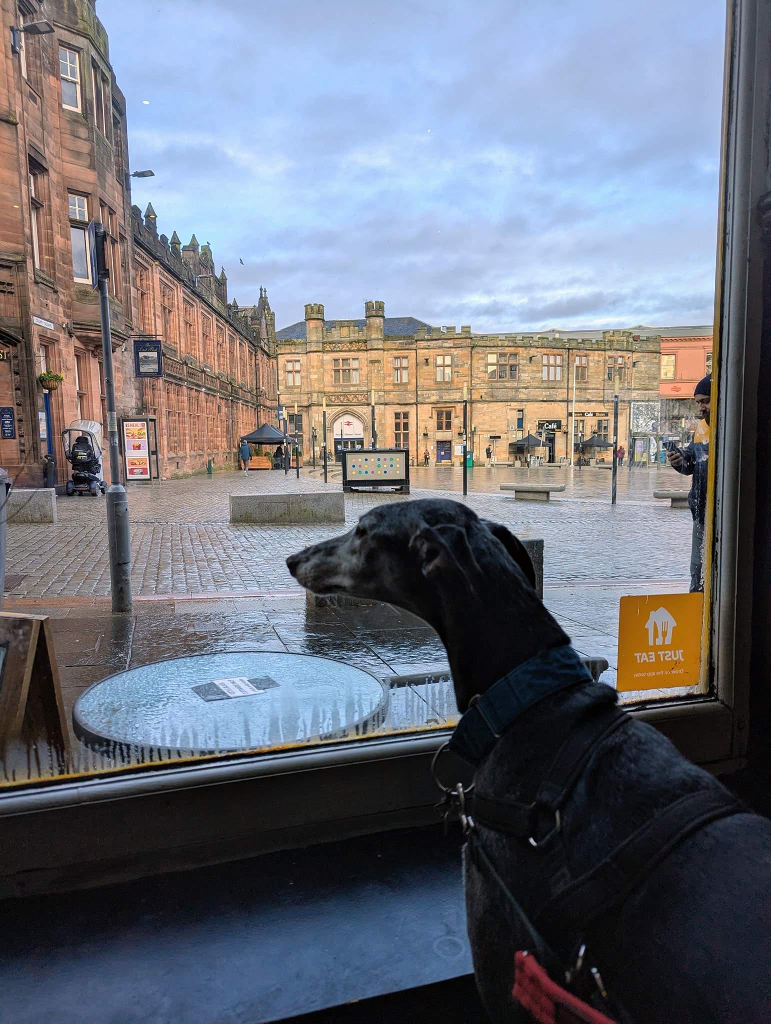 ebano_1200403015633318