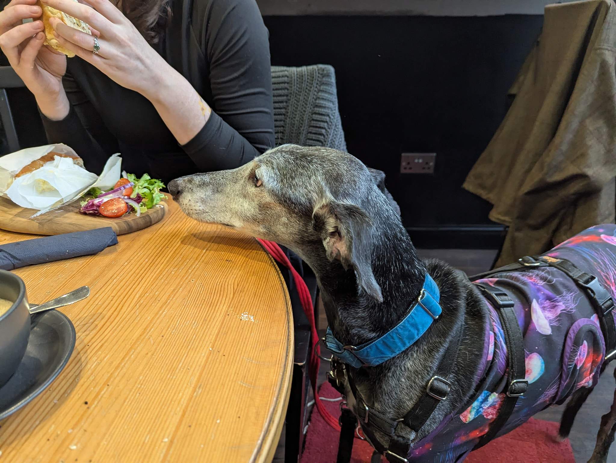 ebano_1229204009419885