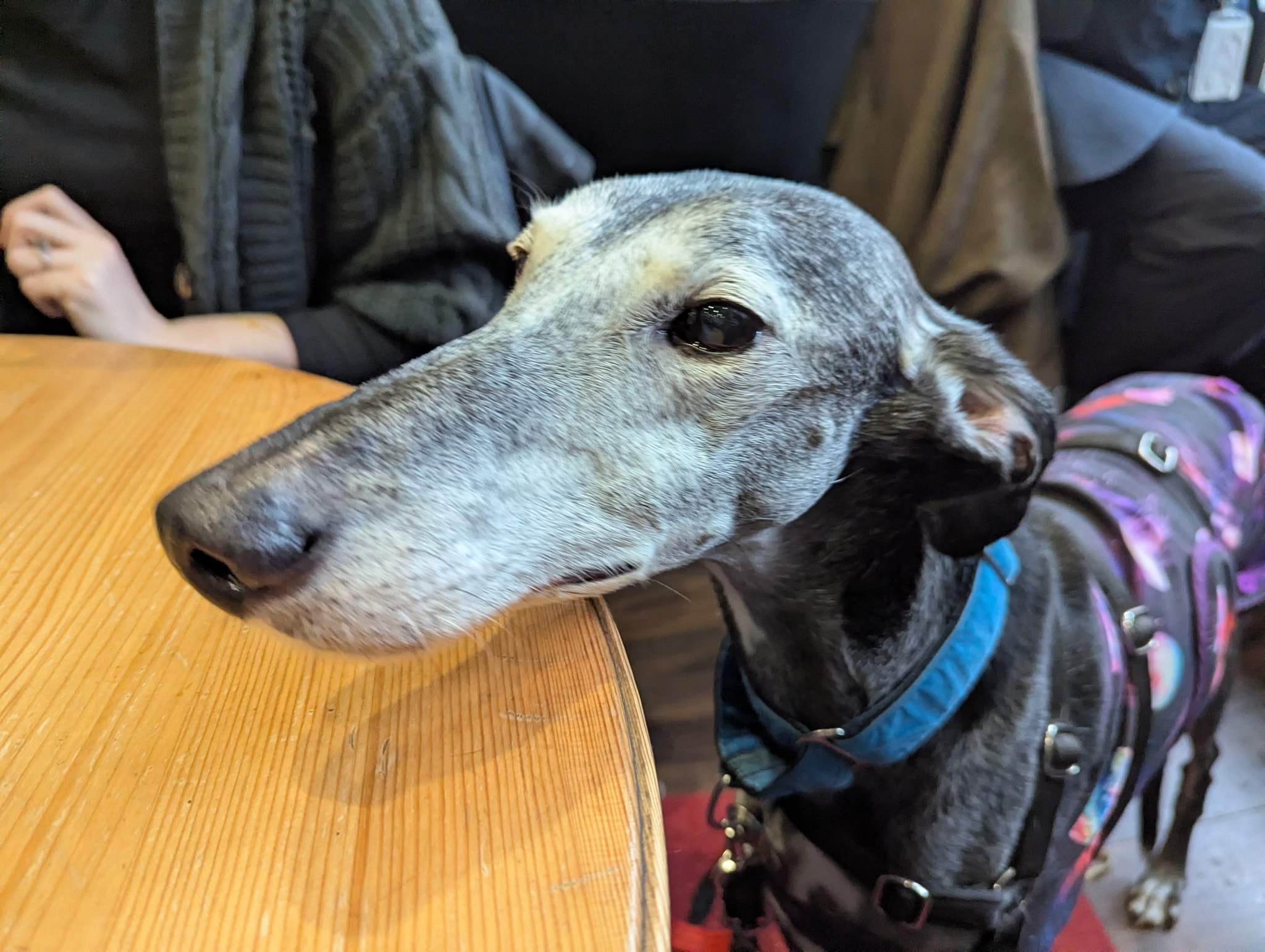 ebano_1229204052753214