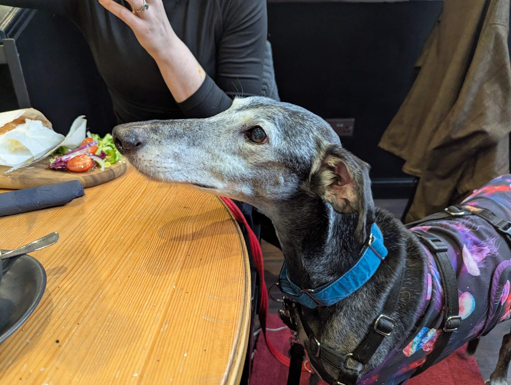 ebano_1229204109419875