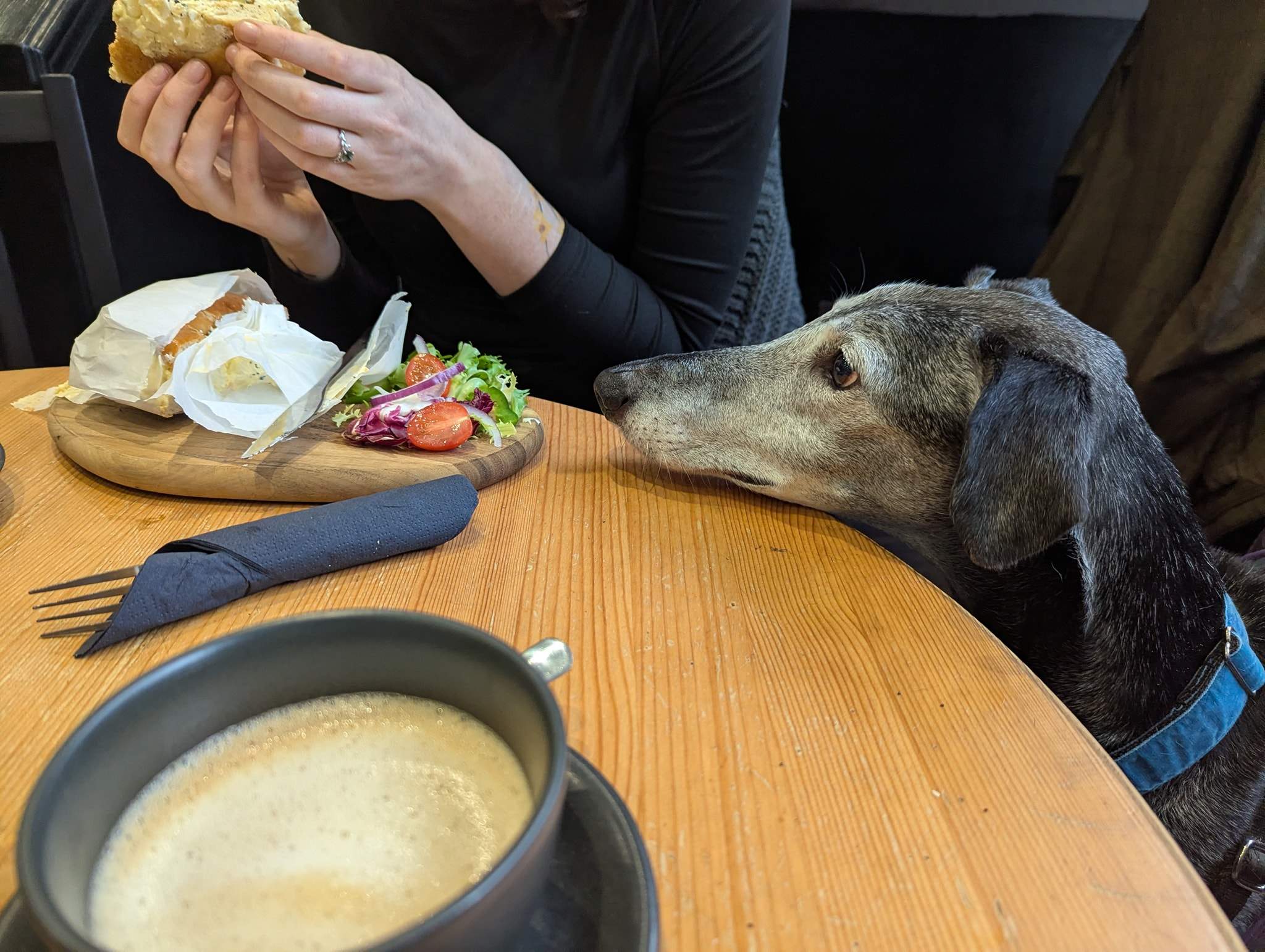 ebano_1229204132753206