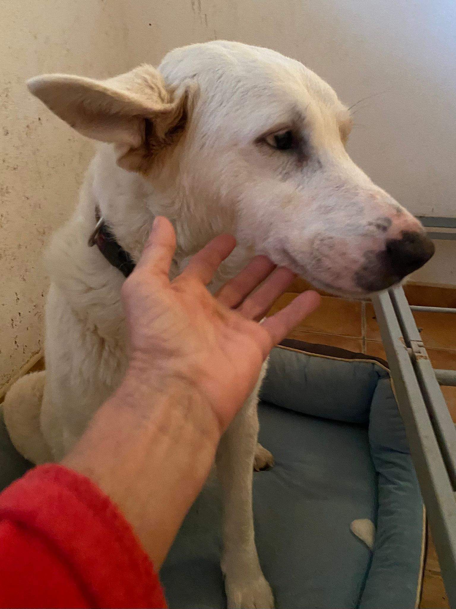 eira_1188615866812033