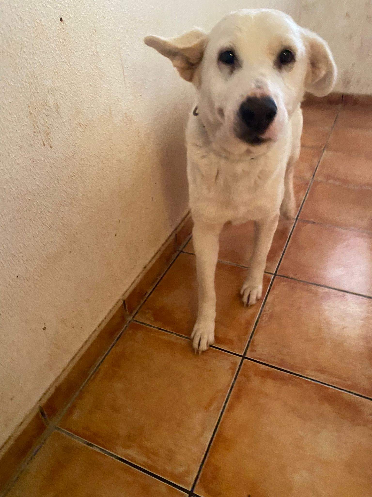 eira_1188615883478698