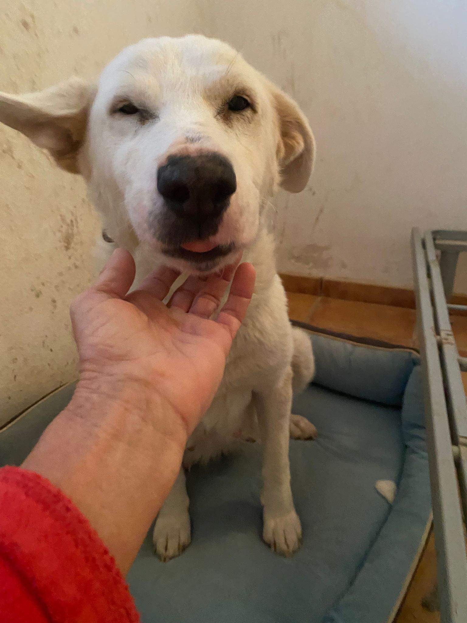 eira_1188615943478692