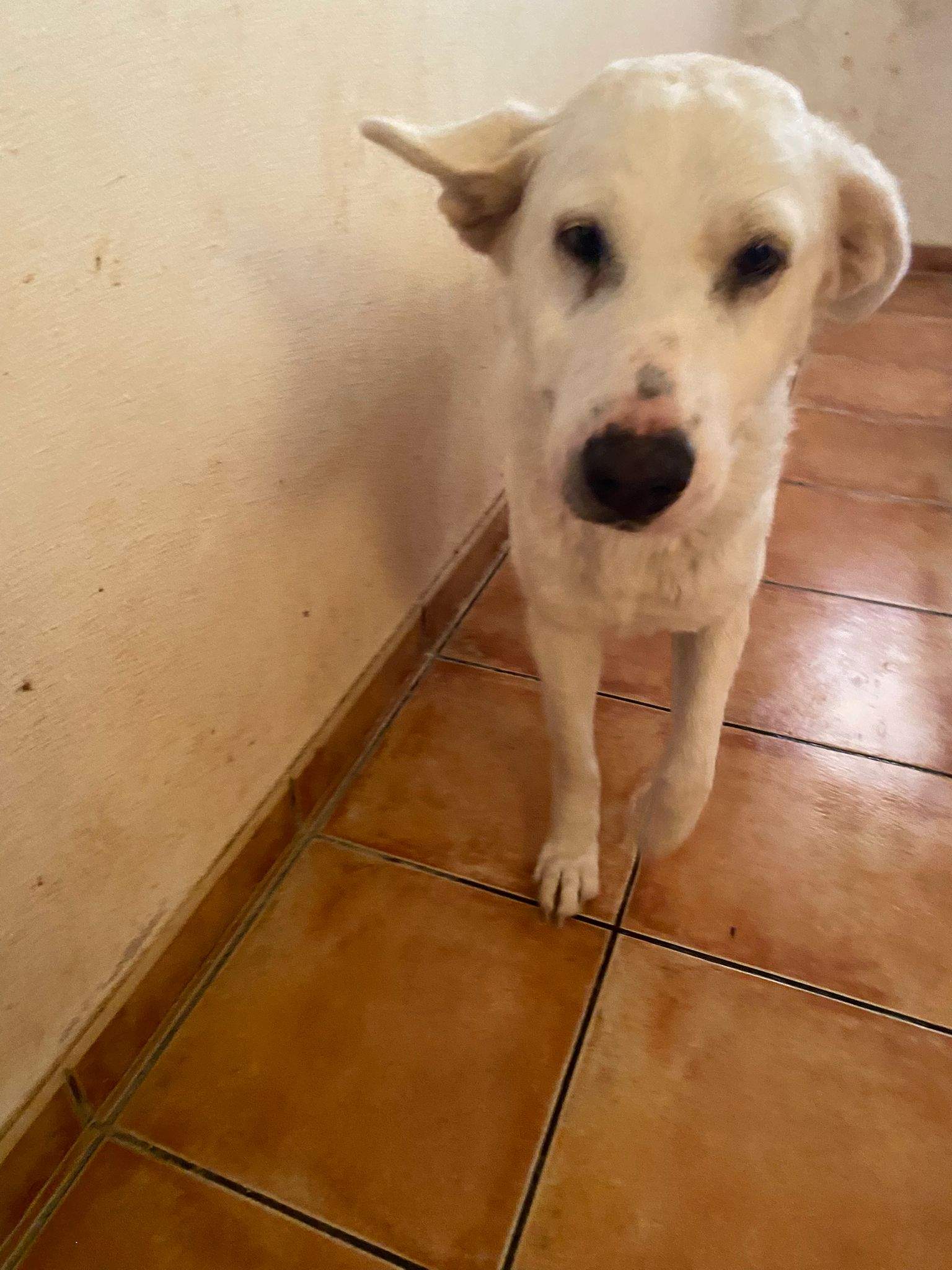 eira_1188615966812023