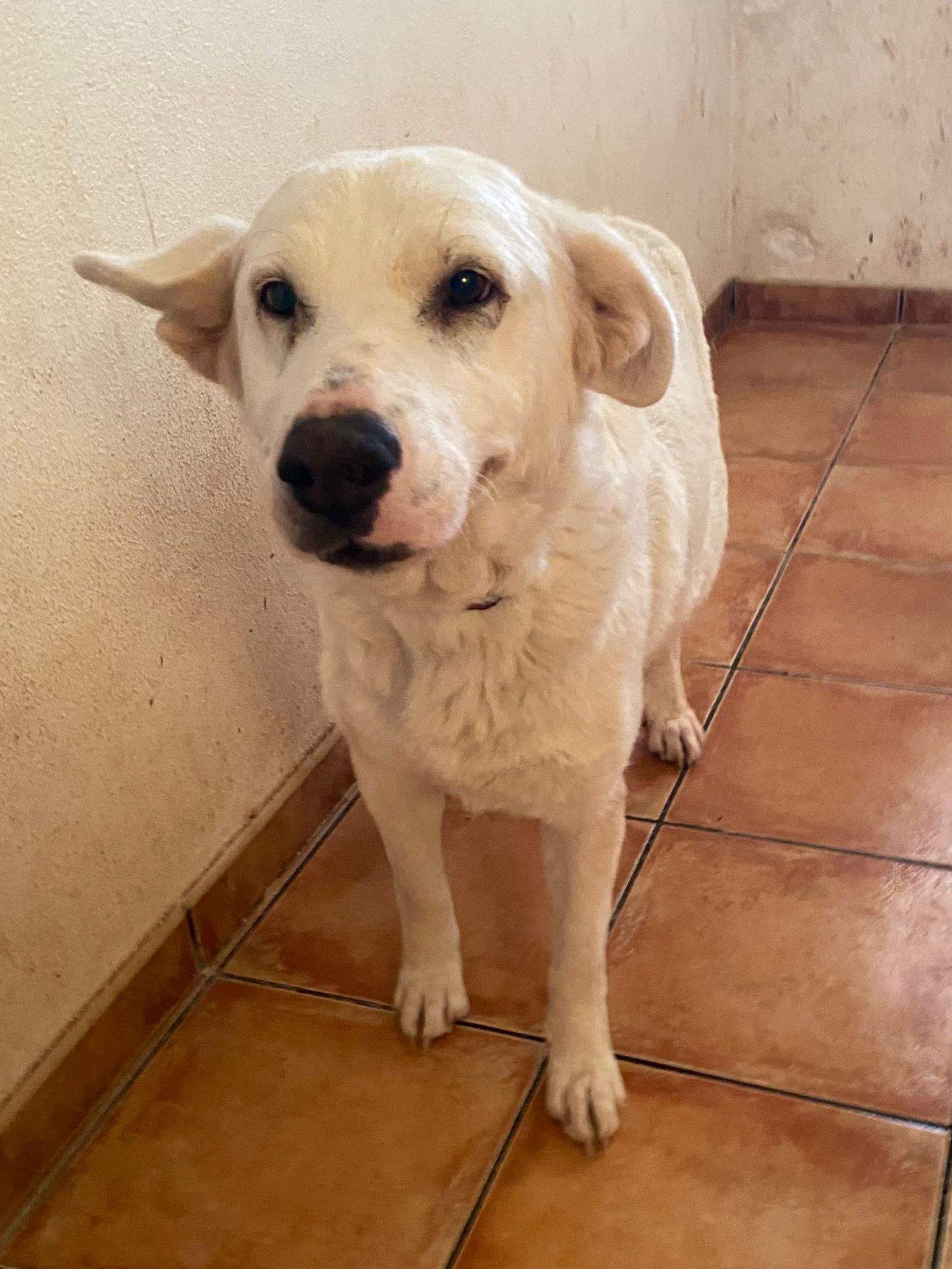 eira_1188616000145353