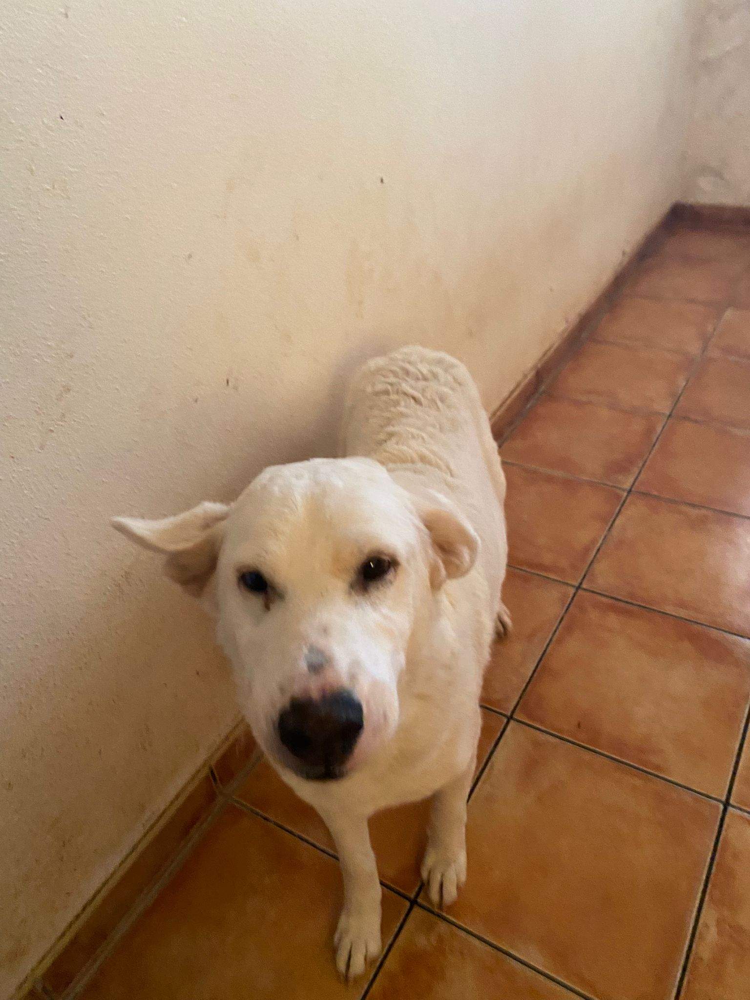 eira_1188616070145346